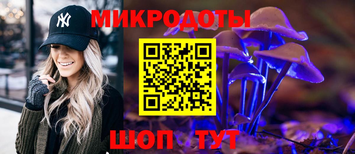 Псилоцибиновые грибы MAGIC MUSHROOMS Прохладный