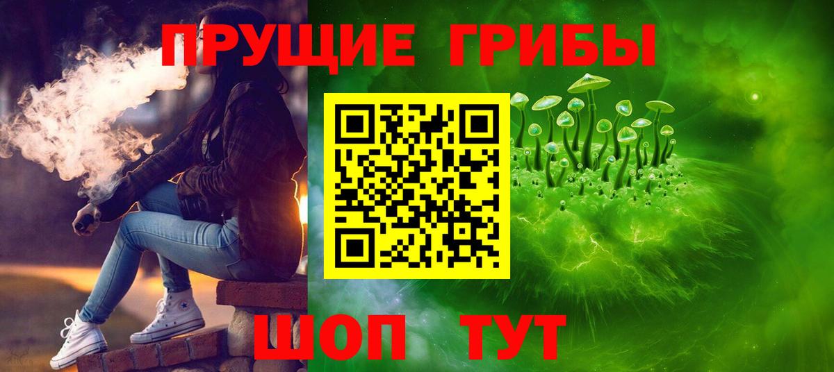 Псилоцибиновые грибы Cubensis  Вход с VPN  Прохладный 